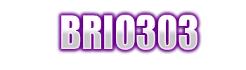Logo BRIO303